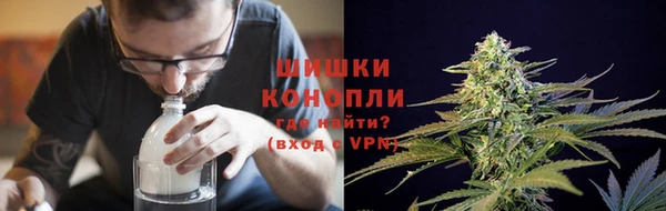 шишки Абинск