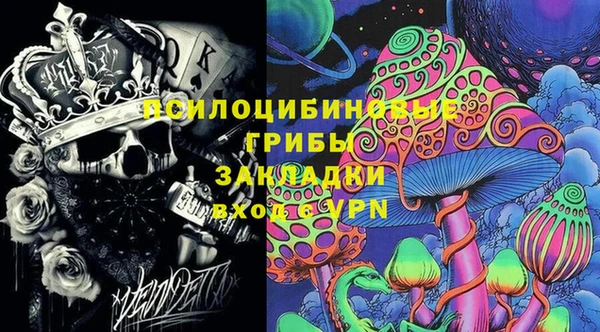 тгк Алзамай