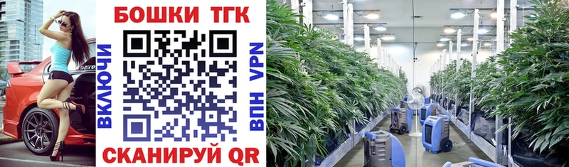 Шишки марихуана THC 21%  купить наркотики цена  Ростов-на-Дону 